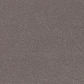 Papavero_92_280x280.webp
