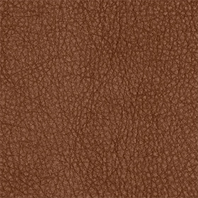 SV_405.webp