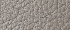 12_ROYAL_SV_4387.jpg